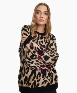 Outlet Pullover Knitted Jaguar Bruin Dames Truien