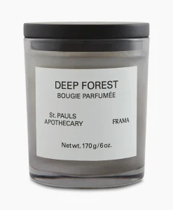 Discount Deep Forest Scented Candle Lifestyle Lifestyle