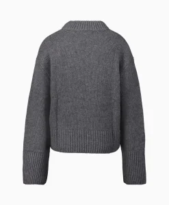 Pullover Sony Grijs Dames Truien