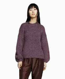 Best Pullover 233-1670-23379 Paars Dames Truien