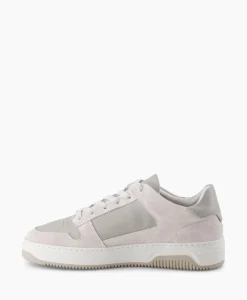 Online Sneaker Basket Court Grijs Heren Sneakers