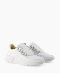Hot Sneaker Roque Roman Wit Heren Sneakers