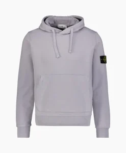 Outlet Hoodie 64151 Grijs Heren Truien